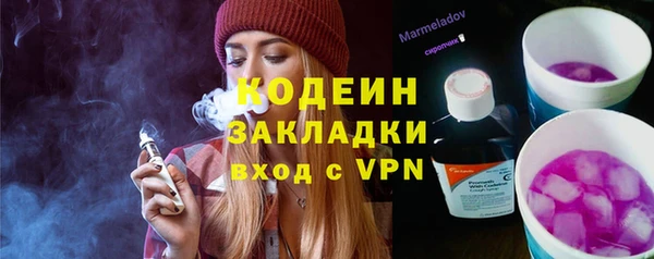 дурь Арсеньев