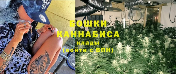 дурь Арсеньев