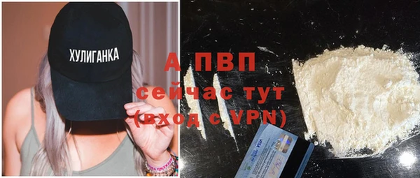 мдпв Кукмор