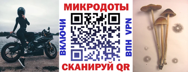 Галлюциногенные грибы GOLDEN TEACHER  Слободской 